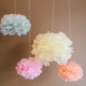 Pom Poms